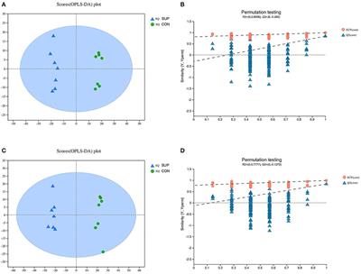 Dietary Concentrate Supplementation Alters Serum Metabolic Profiles Related to Energy and Amino Acid Metabolism in Grazing Simmental Heifers